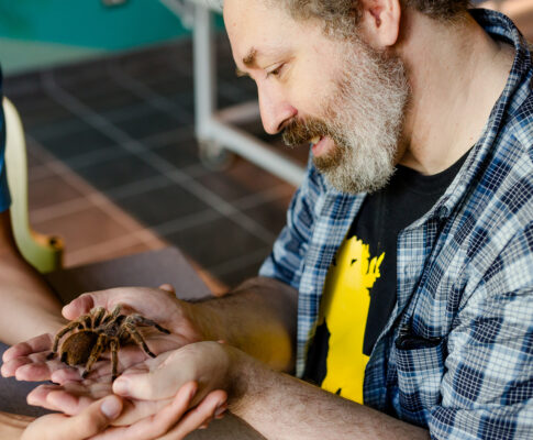 My Spider Journal: Doug Meets A Tarantula